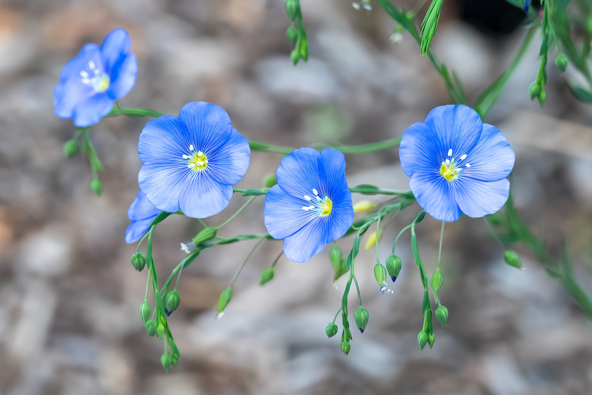 Ways to integrate affirmations into your daily routine